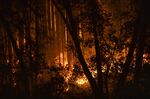 The CZU Lightning Complex fire burns along Highway 236 in the town of Boulder Creek, California,&nbsp;on Aug. 20.