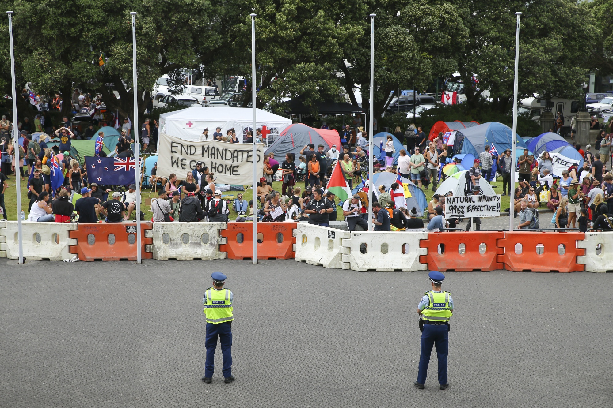 Demonstration outside Parliament in Wellington on Feb. 11.
