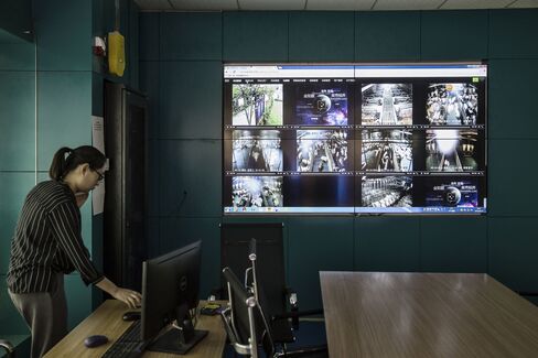 Video feeds monitor pig pens at Shen's farm.
