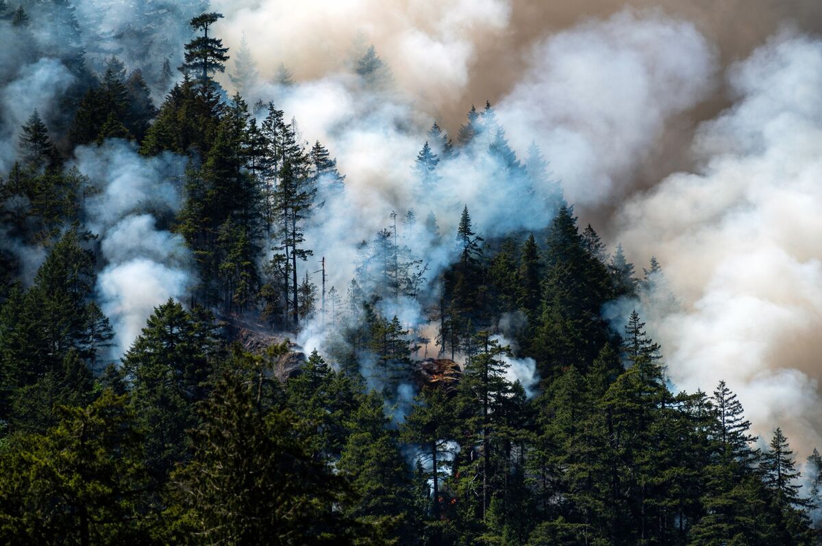 Wildfires in Canada’s Oil Sands Region Prompts Evacuation Orders ...