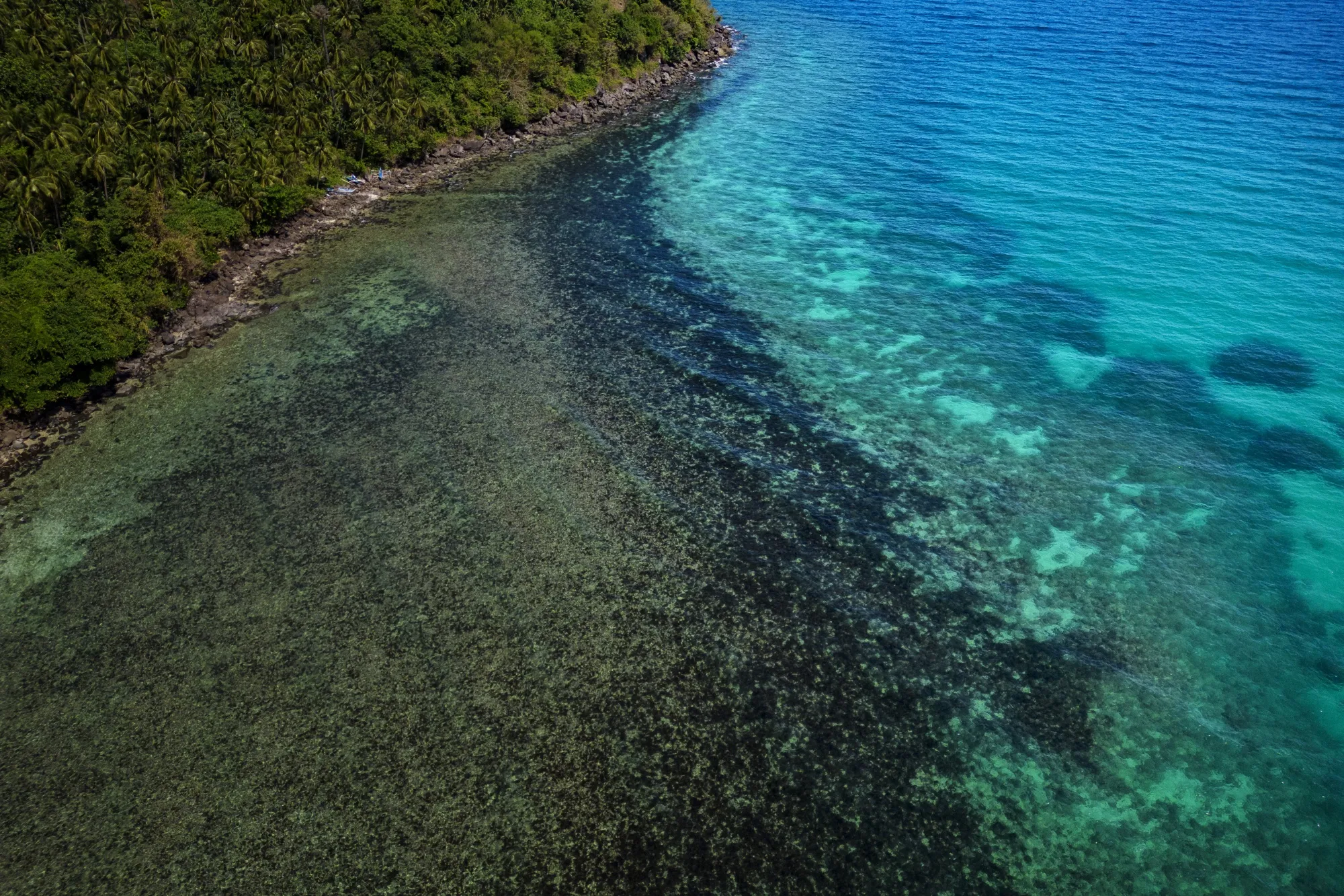 Oil slick along a shoreline in Pola, Mindoro on March 8.