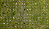 TOPSHOT - An aerial view shows people gathered inside painted circles on the grass encouraging social distancing at Dolores Park in San Francisco.