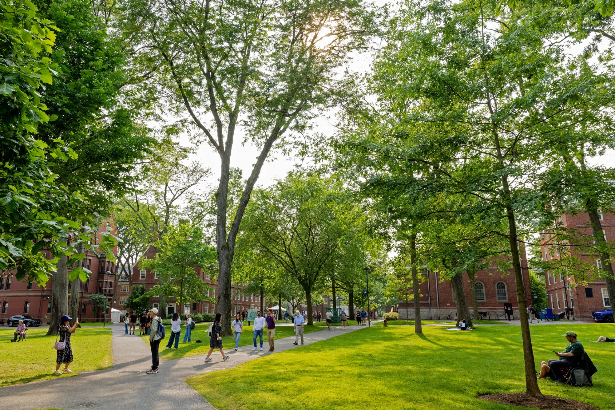 Harvard University campus in Cambridge, Massachusetts.