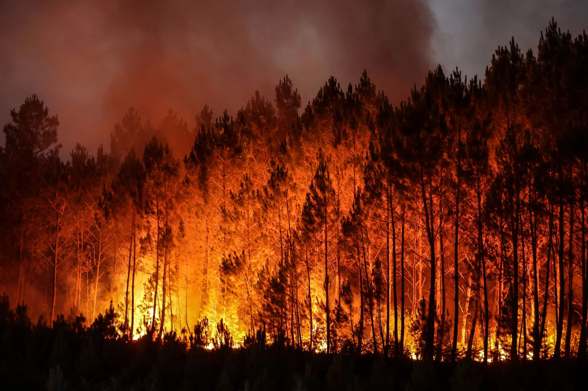A forest fire in Louchats, south-western France, on July 17, 2022.

(Photogapher: Thibaud Moritz/Getty Images)