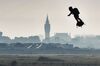 Franky Zapata flies past the city hall of Calais.
