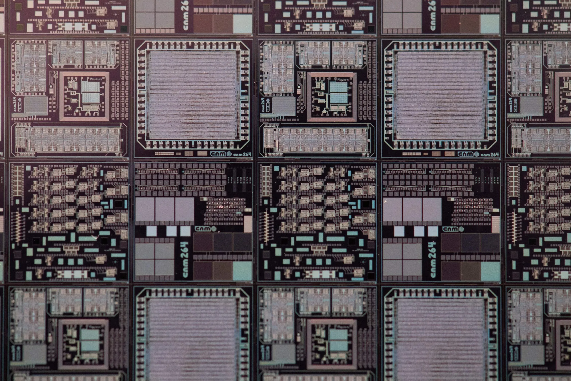 Chips on a silicon wafer.