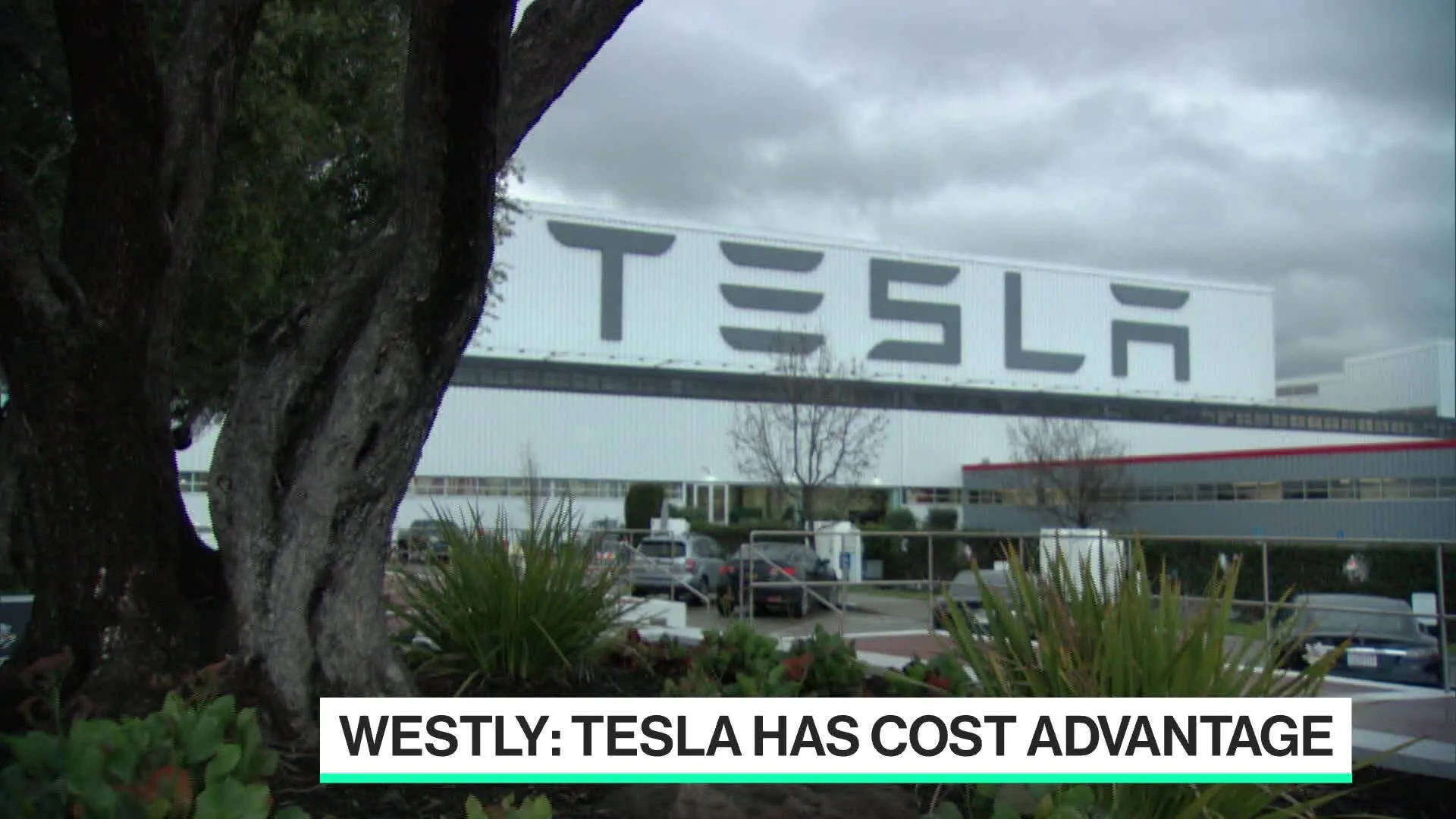 Watch Tesla Reignites EV Price War With New China Price Cuts - Bloomberg