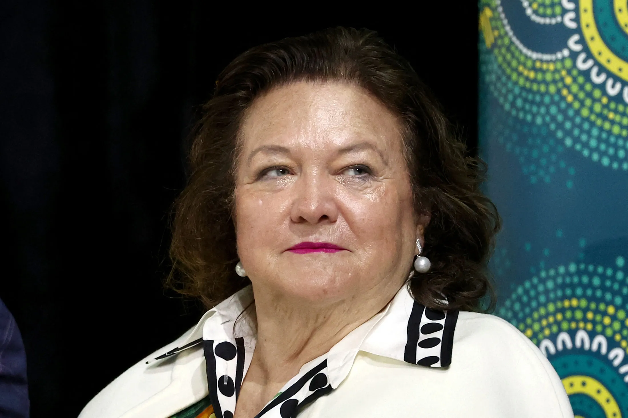 Gina Rinehart holds a 8.2% stake in Lynas Rare Earths through her privately held company.