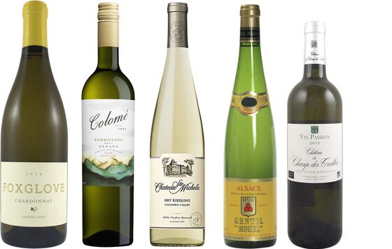 The 20 Best Wines for Under $20