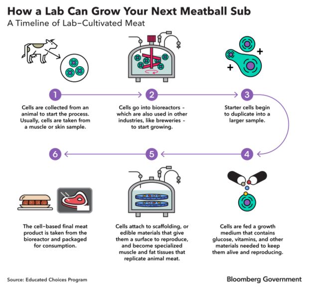 Japanese researcher pushes the boundaries of lab-grown 'real' meat