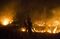 La colisión con Chile es el peor incendio forestal en la historia de las industrias maderera y agrícola