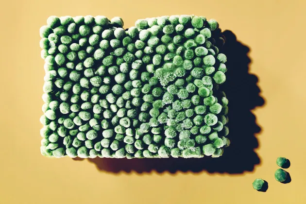 "Peas became one of the most successful Bird's Eye frosted foods because they were such a brilliant green"