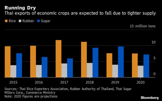 Thai Agriculture Reels From Drought in Blow to Ailing Economy