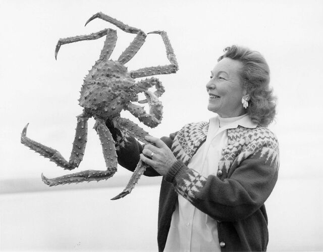 A king crab in Kodiak, Alaska, circa 1970.