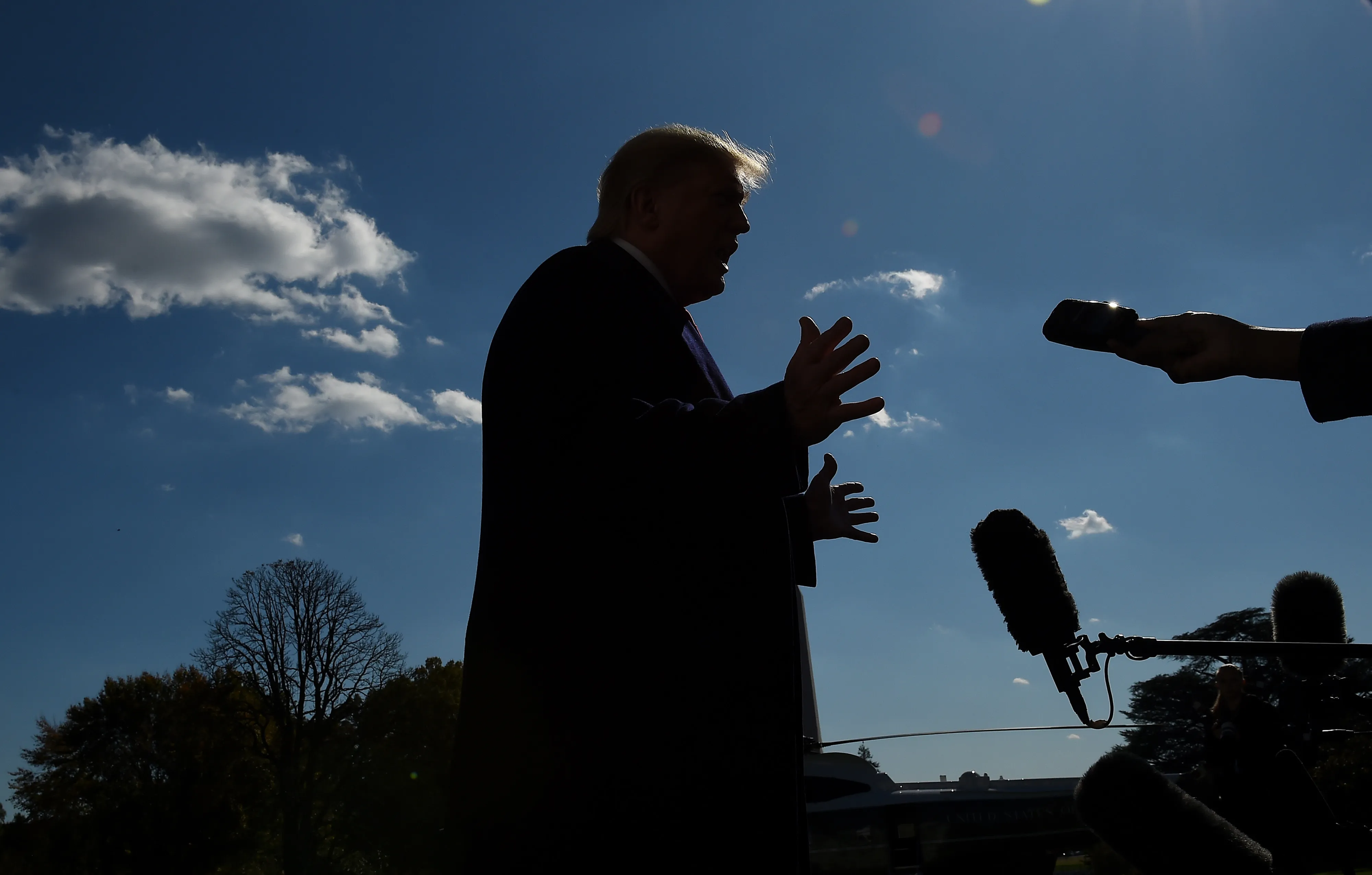 Donald Trump speaks to the media on the South Lawn of White House on Nov. 3.