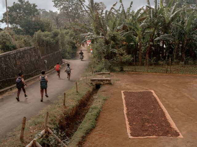 Coffee berries are laid to dry under the sun in front of a village house in Ngarip on March 22
