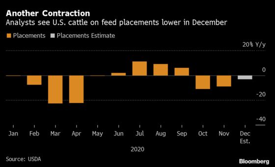 Burger Inflation Builds With Corn Surge Shrinking Cattle Lots
