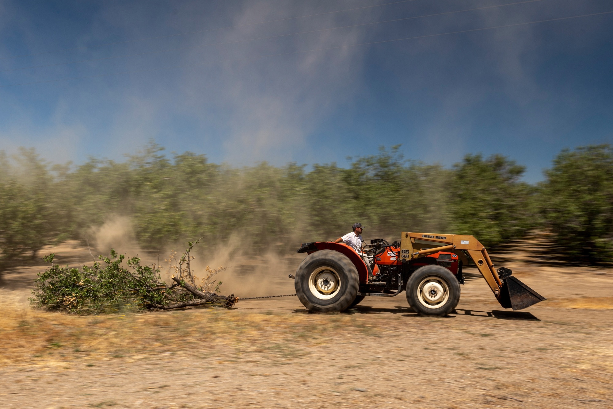 In Gustine, California, almond farmer Erich Gemperle clears a wind-felled tree with his tractor.