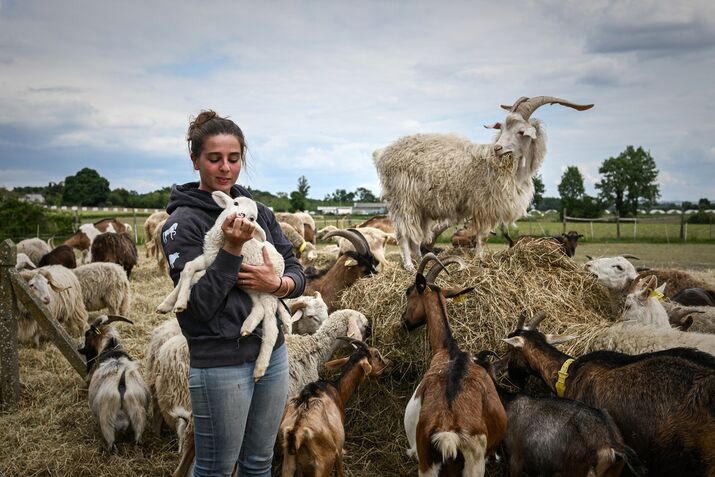 TOPSHOT-FRANCE-ANIMAL-OSTEOPATHY