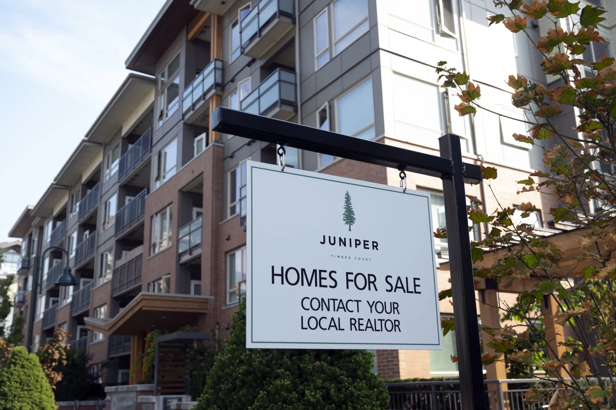 Canadian home sales surged in December, an unusual rally for the winter season.