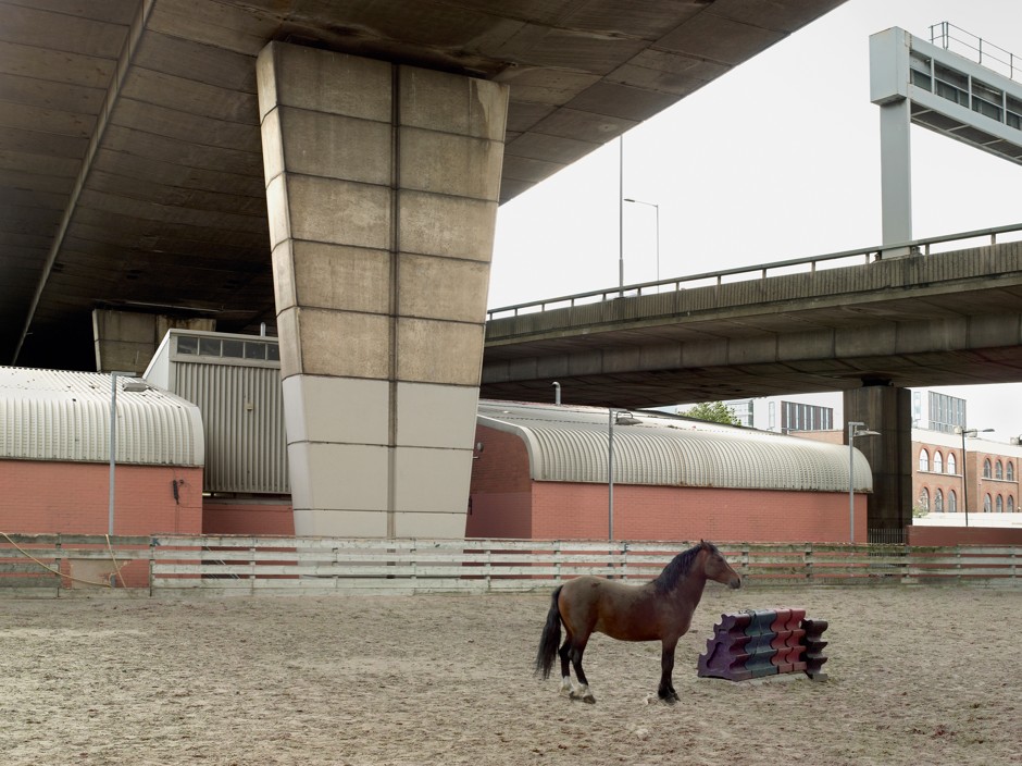 A horse trains beneath an underpass in London, England.