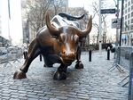 Where have all the bulls gone?