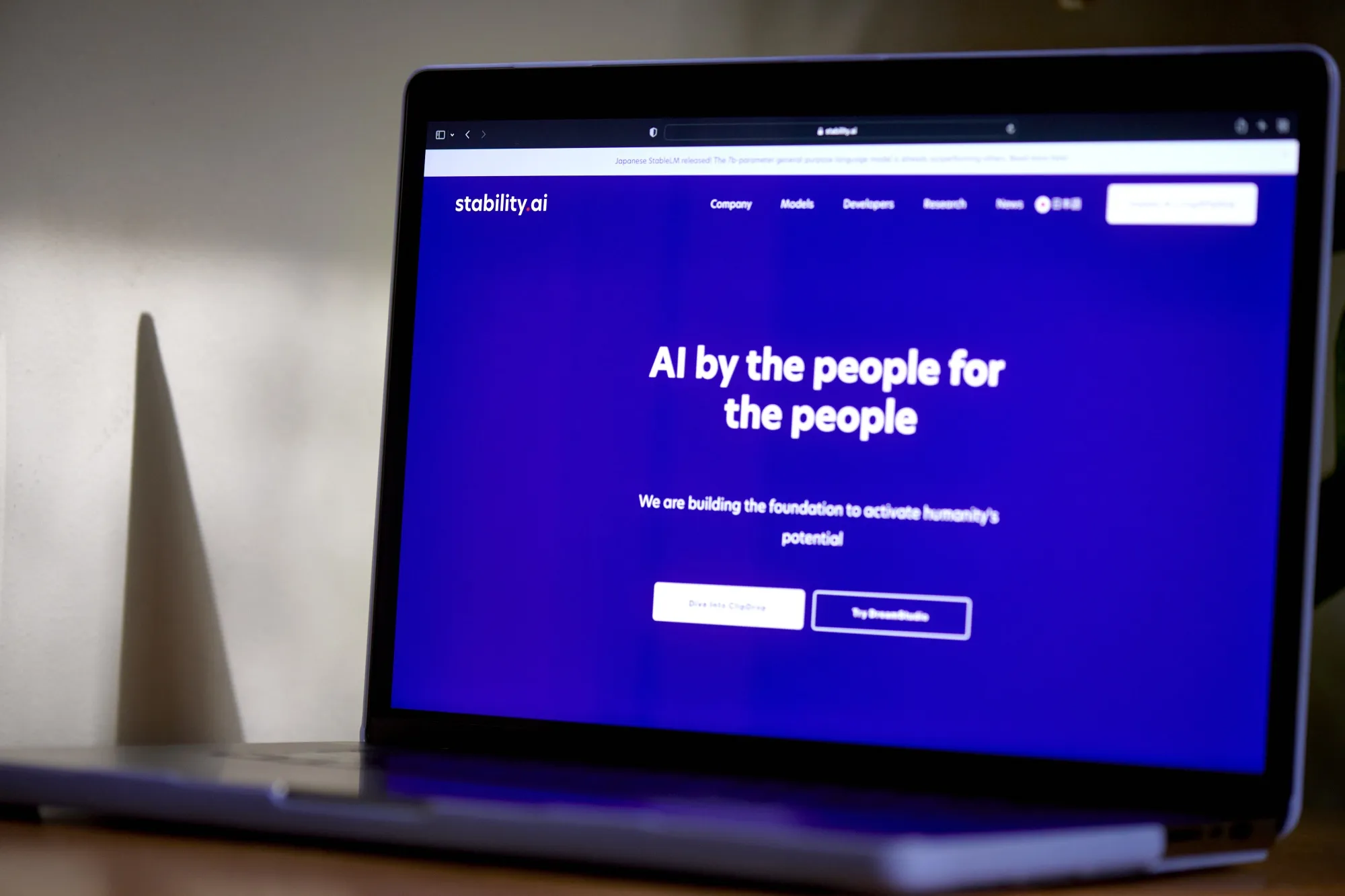The Stability AI website