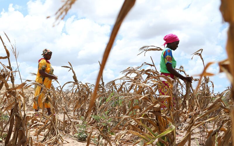 KENYA-KILIFI-DROUGHT