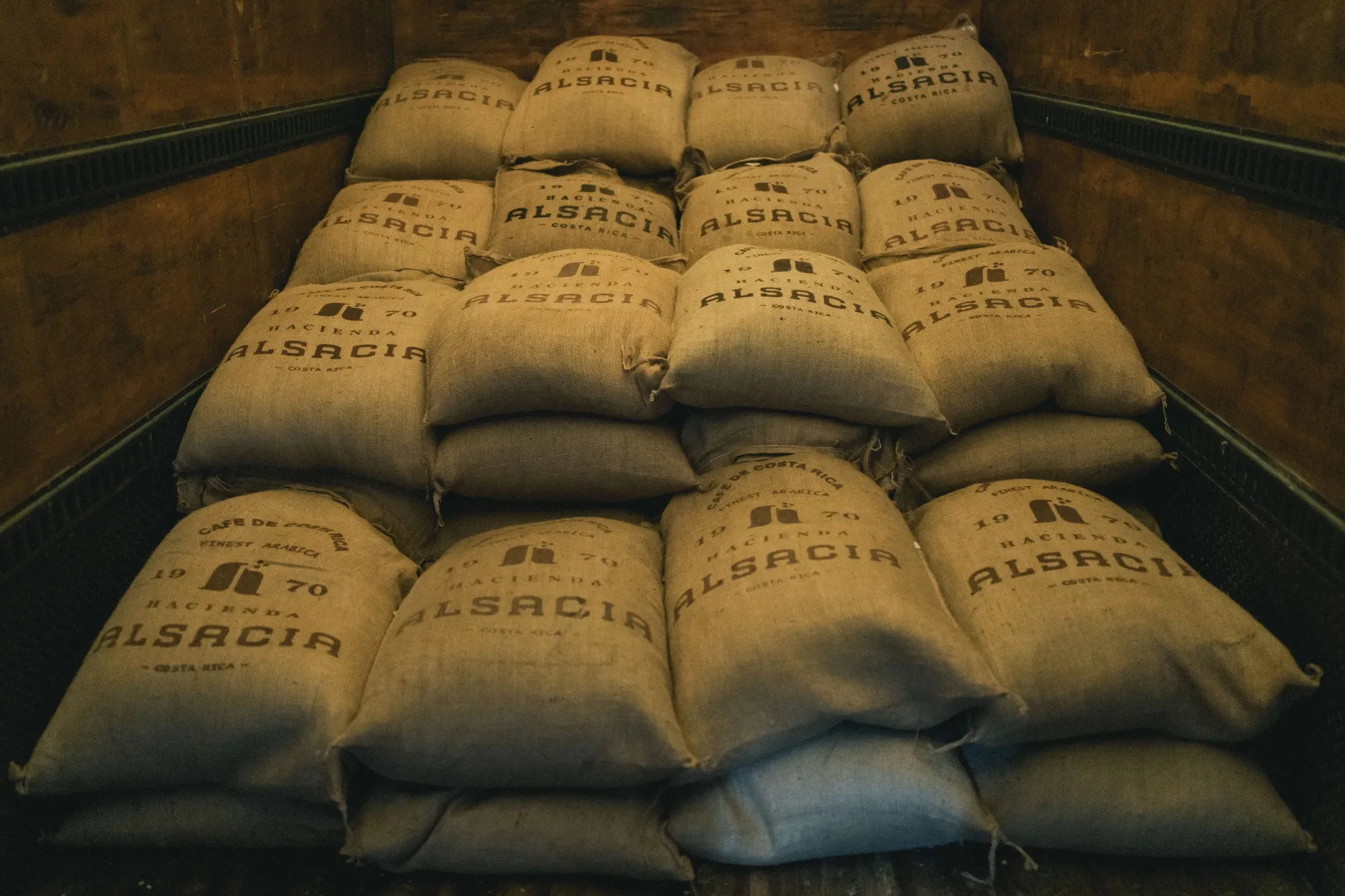 Starbucks bought its first company-operated farm, Hacienda Alsacia, in Costa Rica to study disease- and climate-resistant coffee varietals.
