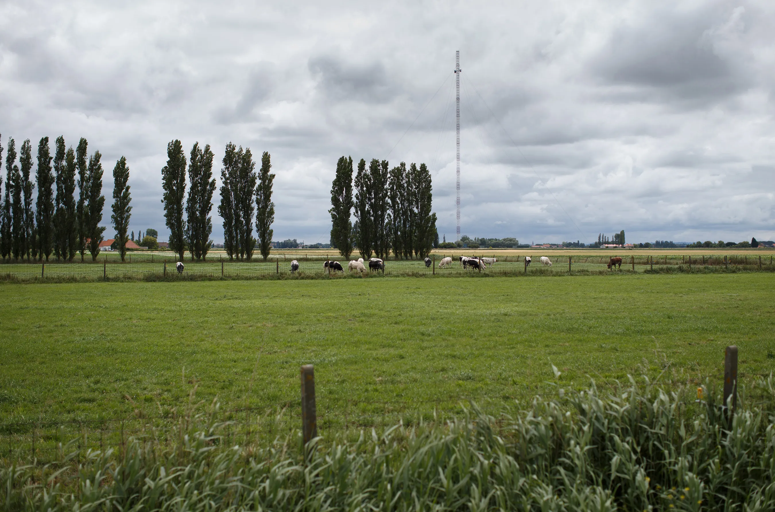 Wall Street Buys NATO Towers in Trader Speed-of-Light Quest - Bloomberg