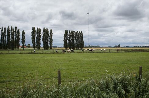 Military Towers Used by Traders in Arms Race for Speed