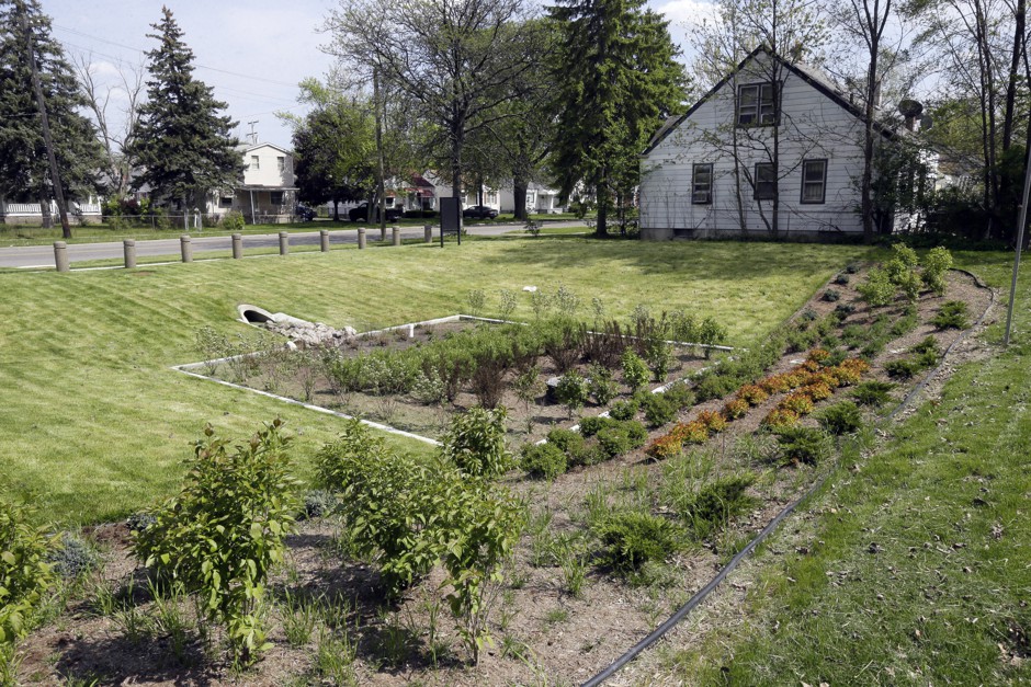 A garden built to collect stormwater runoff in the Warrendale neighborhood of Detroit. 