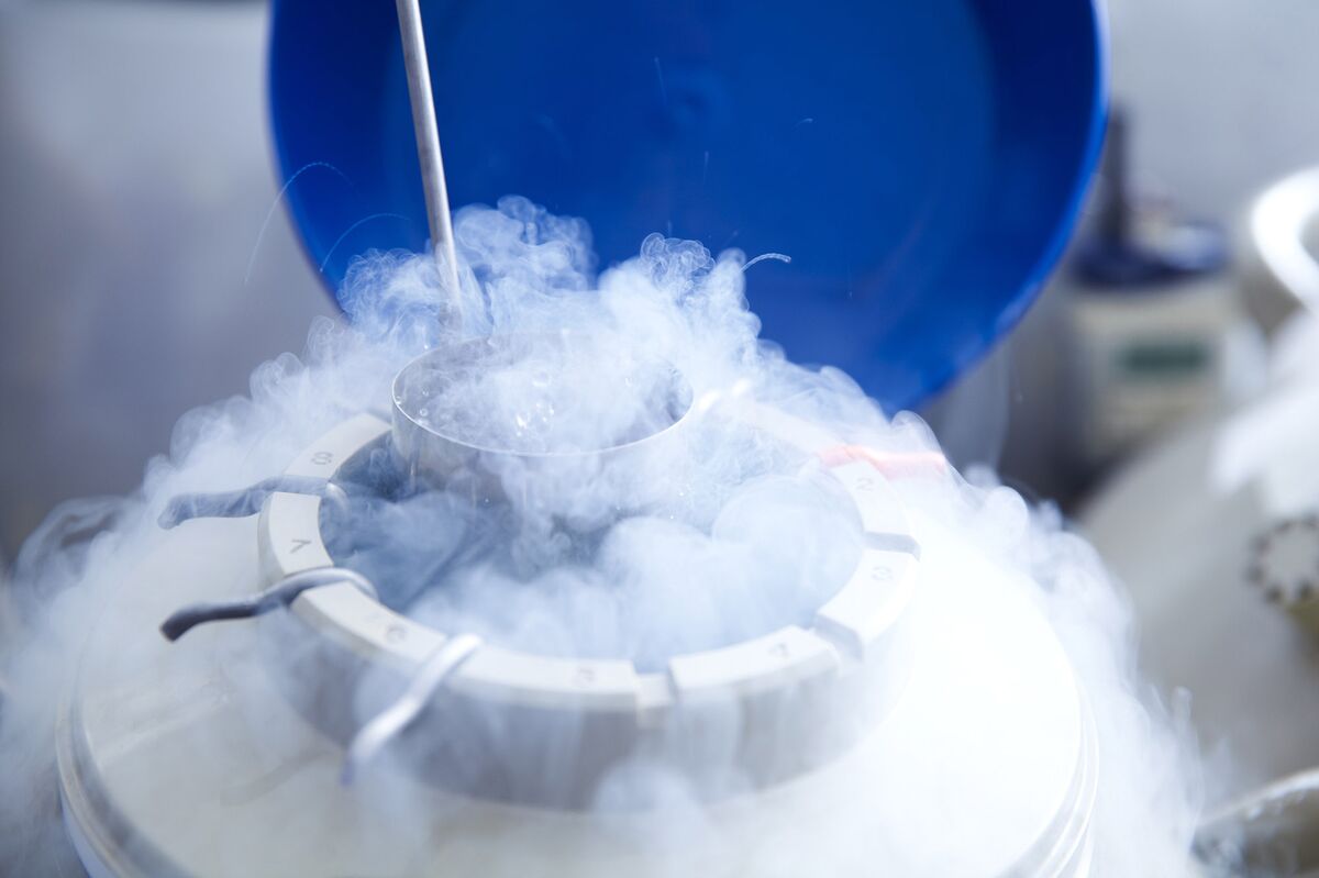 Indira IVF Said to Revive India IPO That May Raise $408 Million