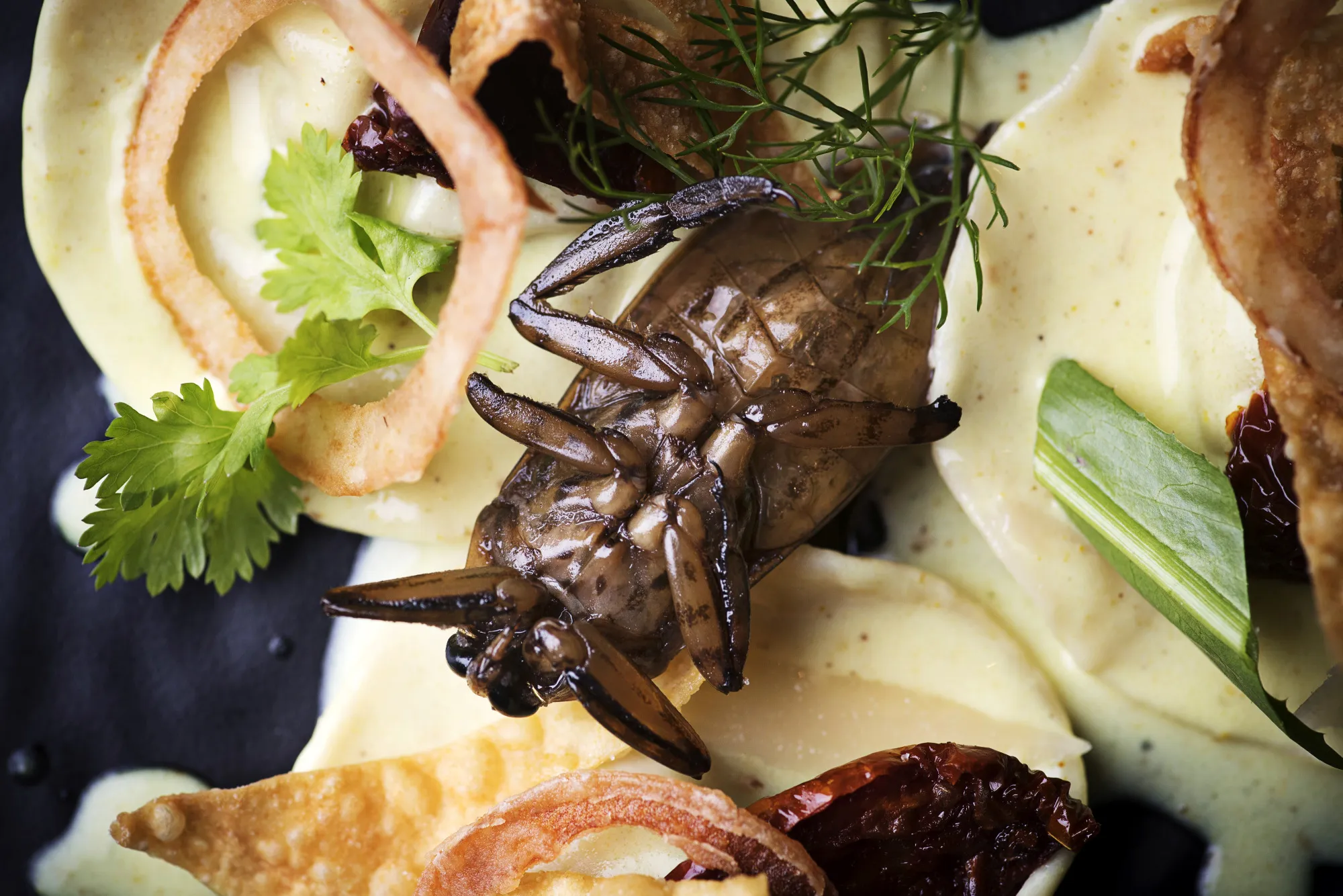An insect dish at a restaurant&nbsp;in Bangkok.