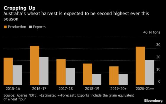 Wheat Exporters in Australia Look Past China to North Africa