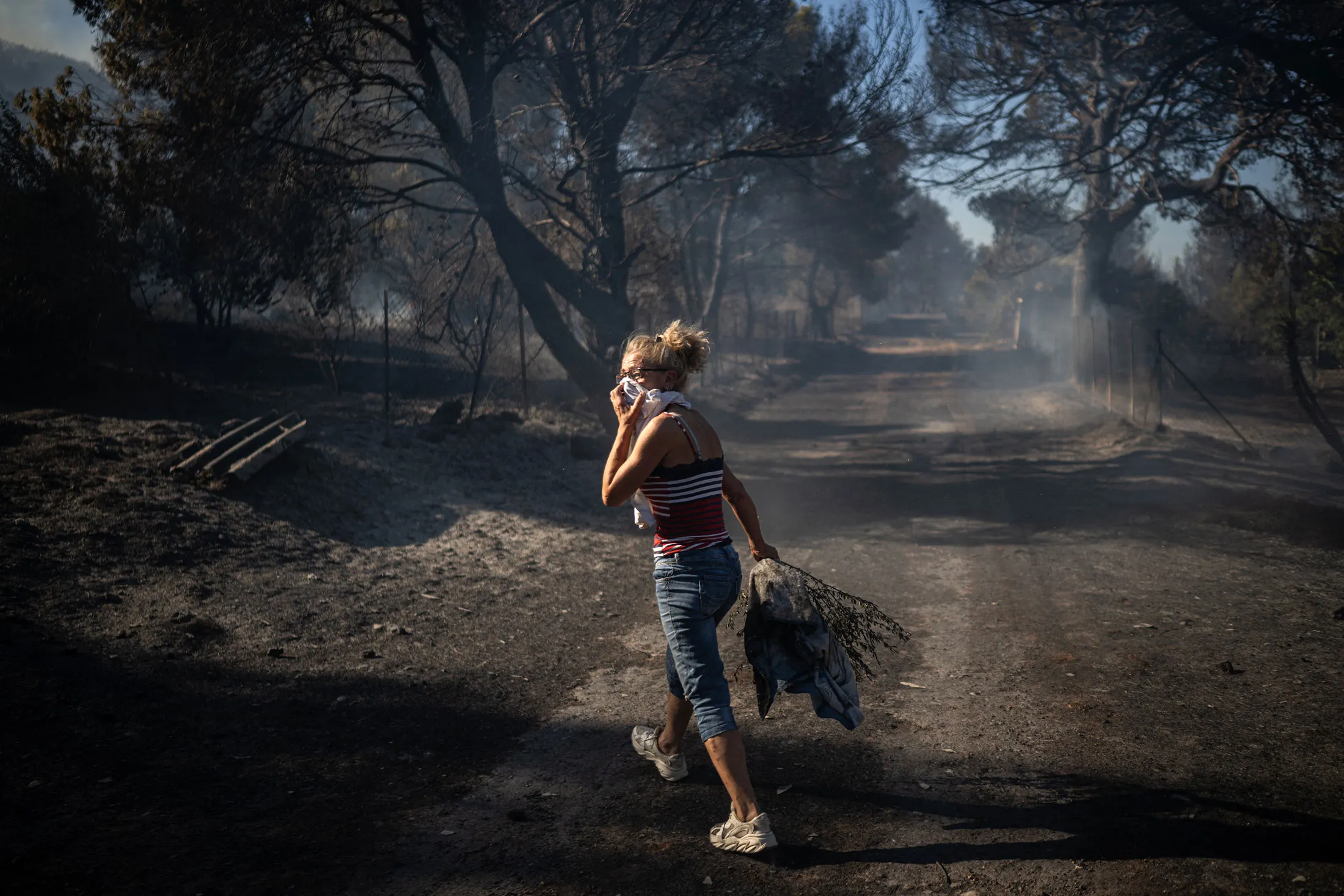 An area damaged by wildfires near Athens, on July 3.