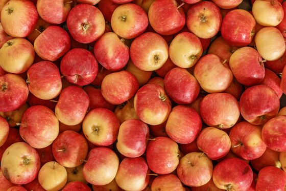 Why Cider Should Be the Official Drink of Thanksgiving