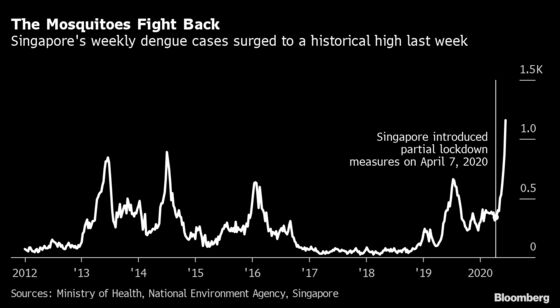 Lockdowns May Be Driving Another Virus Wave: Dengue Fever