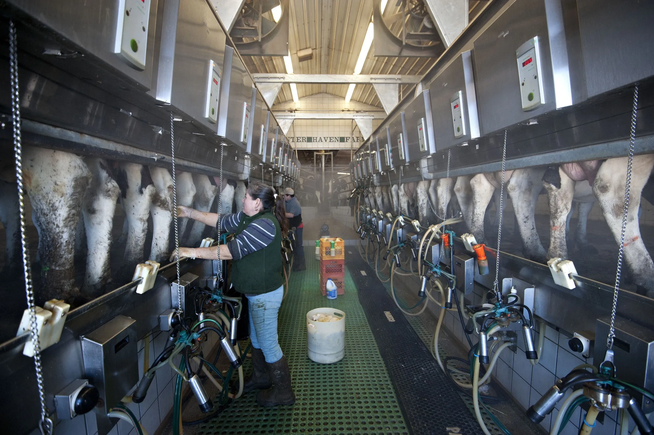Farm Bill With $8.6 Billion in Food-Stamp Cuts Passes U.S. House