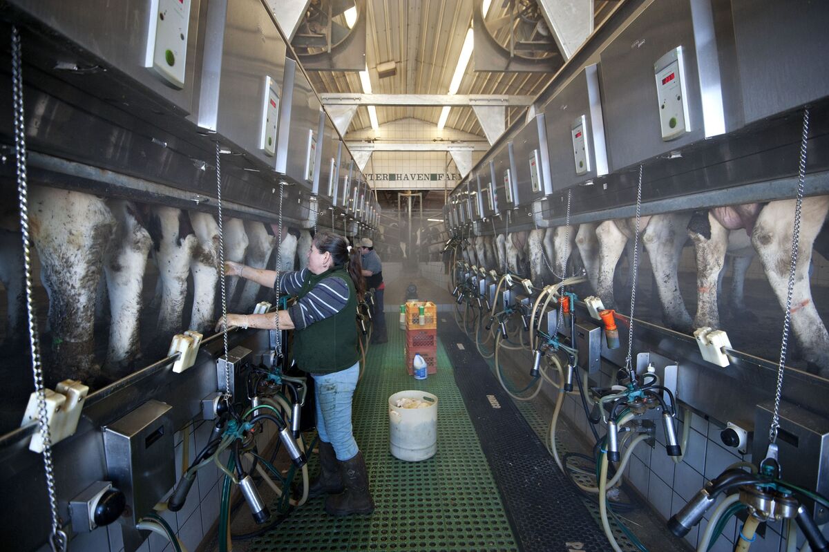 The Changing Face of Farms: Women Step In as U.S. Growers Age - Bloomberg