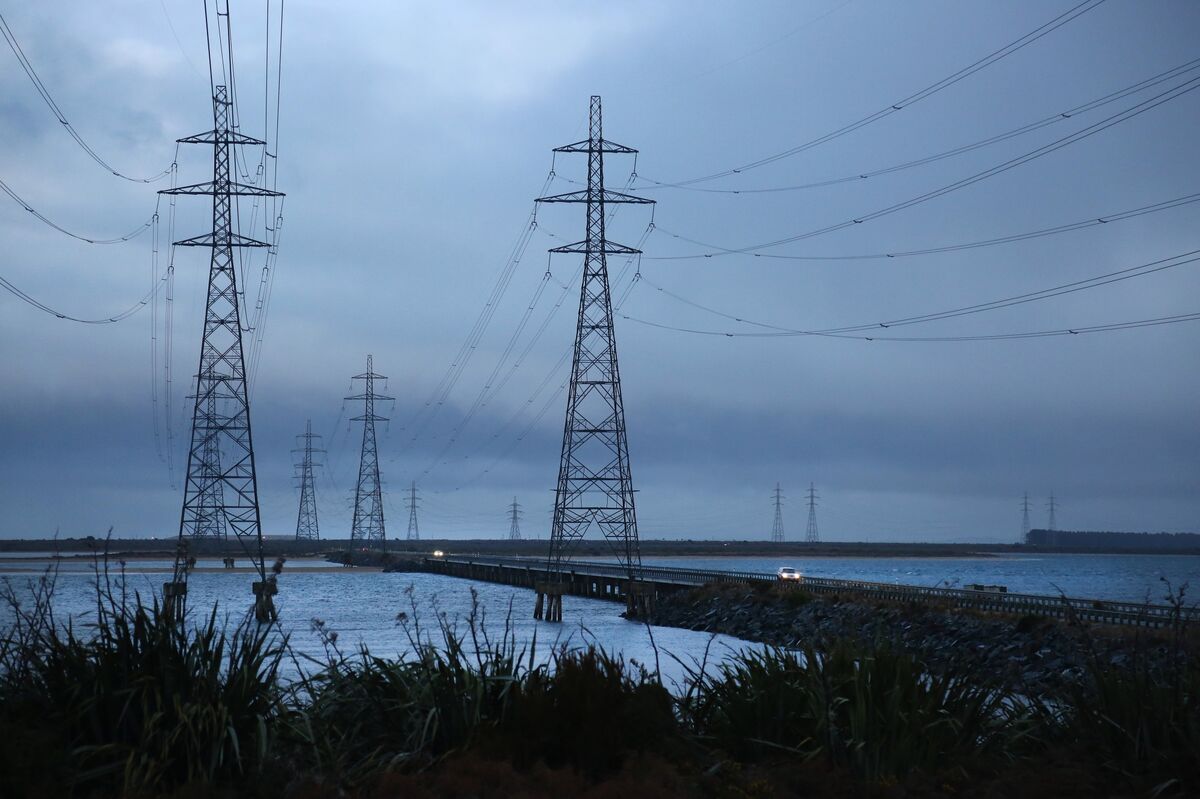 Alphabet-Led AI Project to Shield New Zealand Grid From Outages