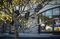 Amazon Drivers Are Hanging Smartphones In Trees To Get More Work
