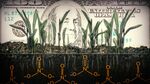 The Dark Side of America’s Big Agriculture