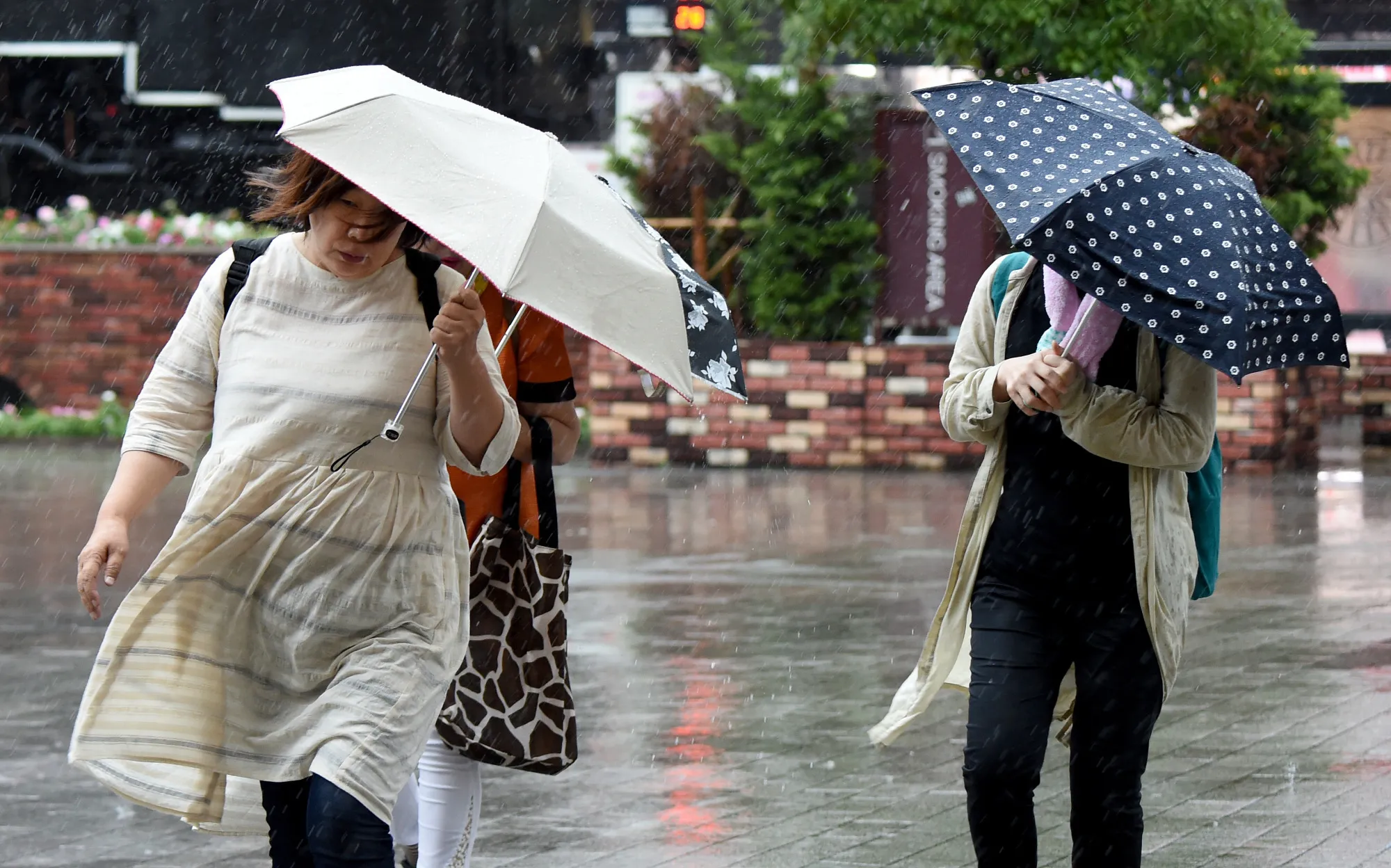 People walk under heavy rain in downtown Tokyo on Aug. 22.
