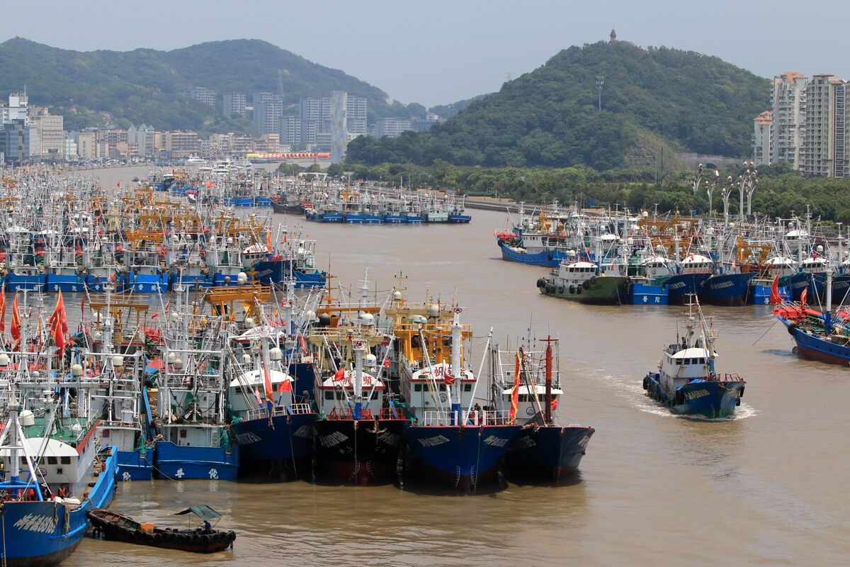 Shanghai Ports Suspend Operations Ahead of Approaching Typhoon