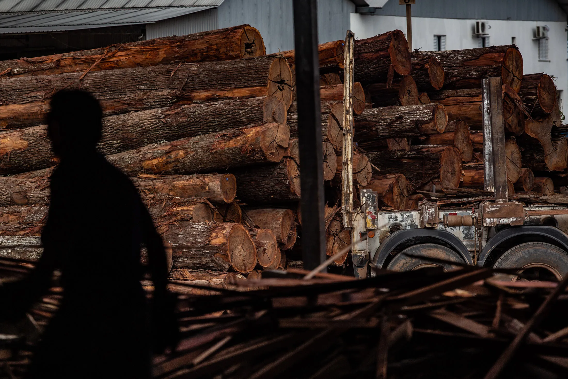 Logs&nbsp;stacked at a lumber mill near Boa Vista, Roraima state, Brazil, in February 2019.&nbsp;