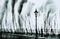 The Great New England Hurricane of 1938 Category 3