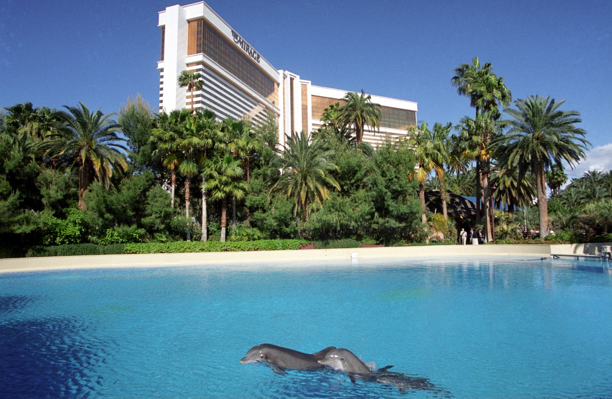 VICTORY: Las Vegas Mirage Dolphinarium to Close Permanently - International  Marine Mammal Project