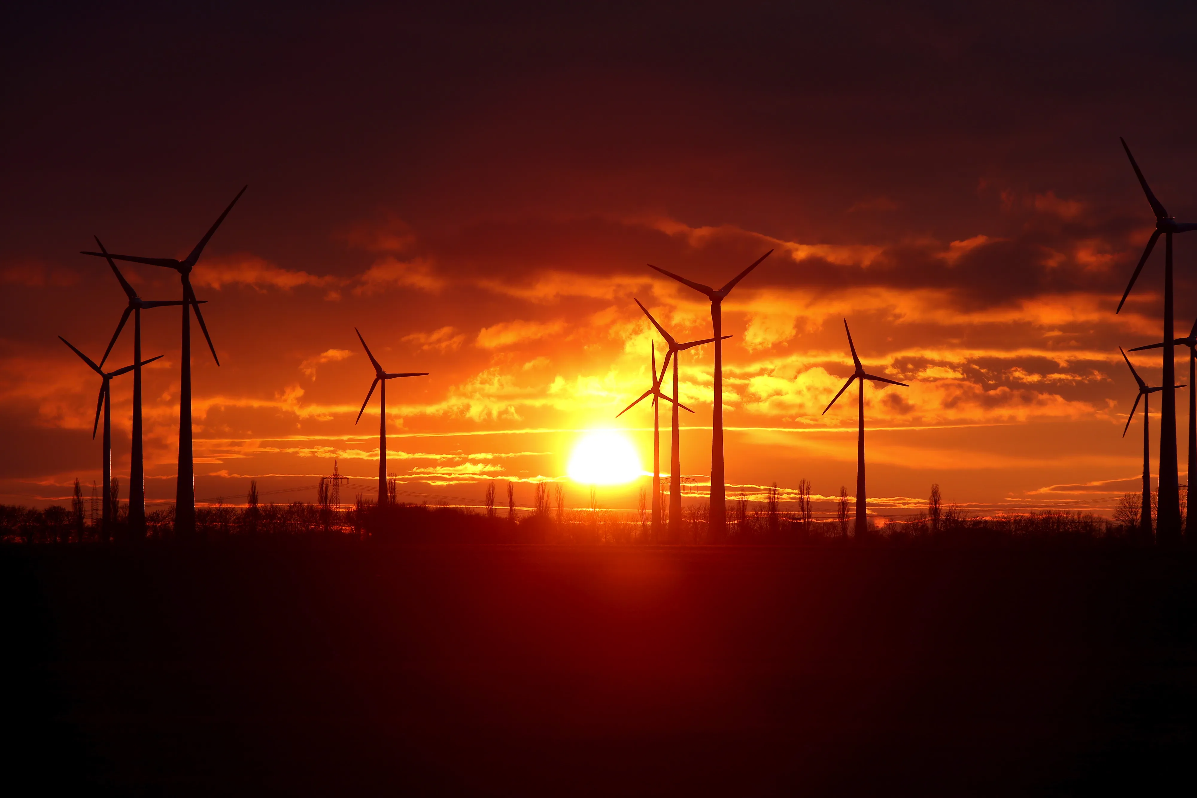 German Wind Farm As Pivotal Year For Renewable Energy Draws To A Close