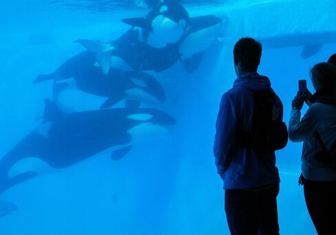 Killer whale life spans